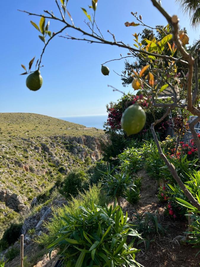 Baglio Cracchiolo Da Tuzzo - Casa Il Limone Leilighet San Vito Lo Capo Eksteriør bilde